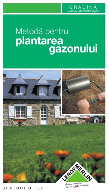 plantare-gazon_file_28