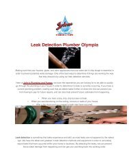 Leak Detection Plumber Olympia