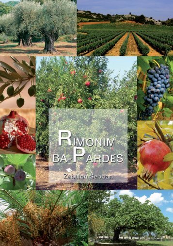 Rimonim Ba Pardes