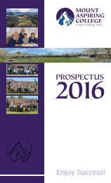 MAC Prospectus 2016