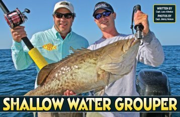 Shallow Water Grouper