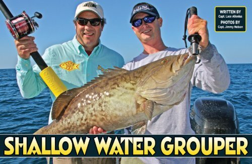 Shallow Water Grouper