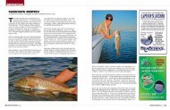 Florida Redfish (Part 1)