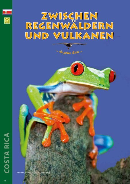 Kondor Katalog 2017 Weltweit