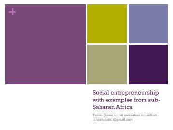 Social entrepreneurship with examples from sub- Saharan Africa