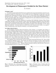 Development of Phalaenopsis Orchids for the Mass-Market