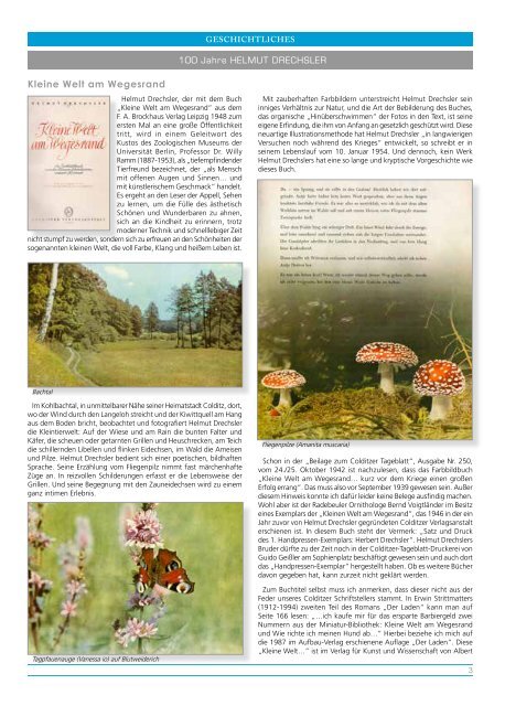 Colditzer Anzeiger_Ausgabe 06_September 2016_ für Web