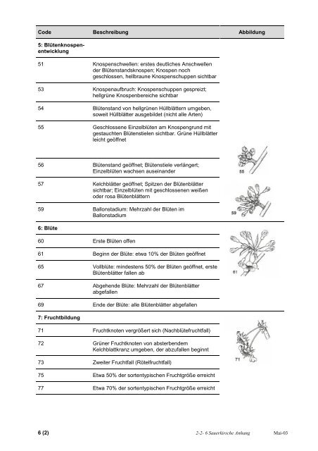 Code Beschreibung Abbildu