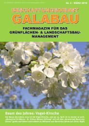 Baum des Jahres - Beschaffungsdienst GaLaBau