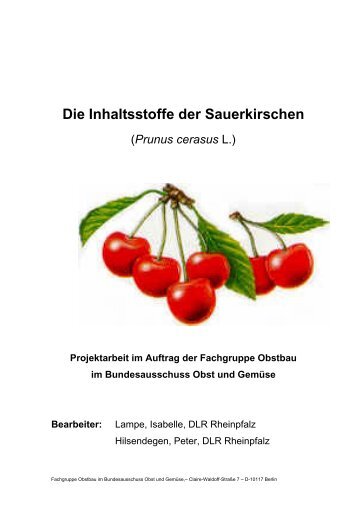 Die Inhaltsstoffe der Sauerkirschen.pdf - Obstbau - Rheinland-Pfalz