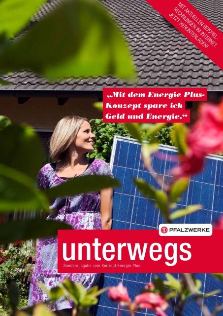 „Mit dem Energie Plus- Konzept spare ich Geld und ... - Pfalzwerke