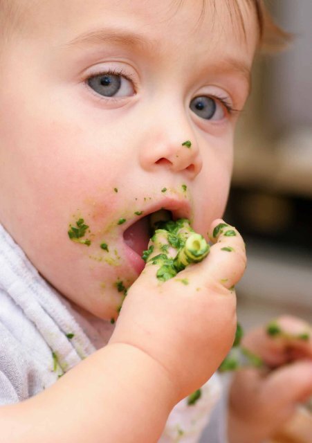 Richtig essen von Anfang an! Babys erstes Löffelchen_2014_3