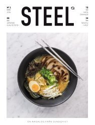Steel nr2 2016