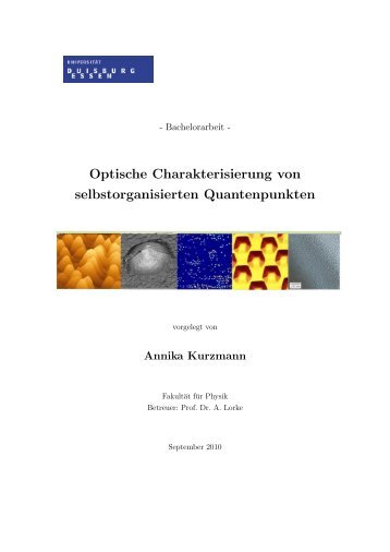 Optische Charakterisierung von selbstorganisierten Quantenpunkten