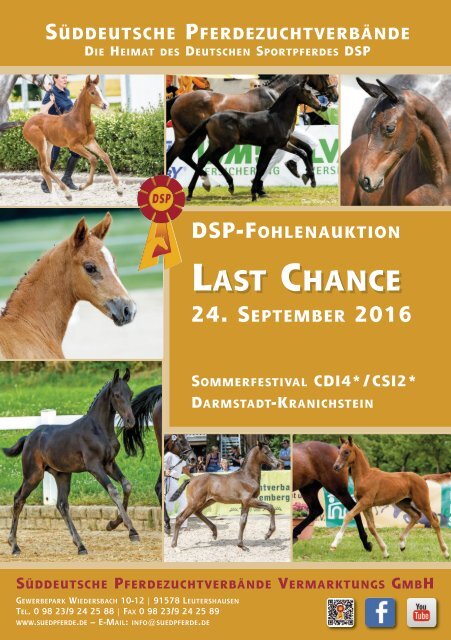 DSP-Fohlenauktion Last Chance am 24. September 2016