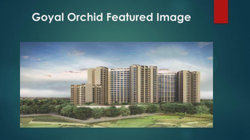 Goyal Orchid