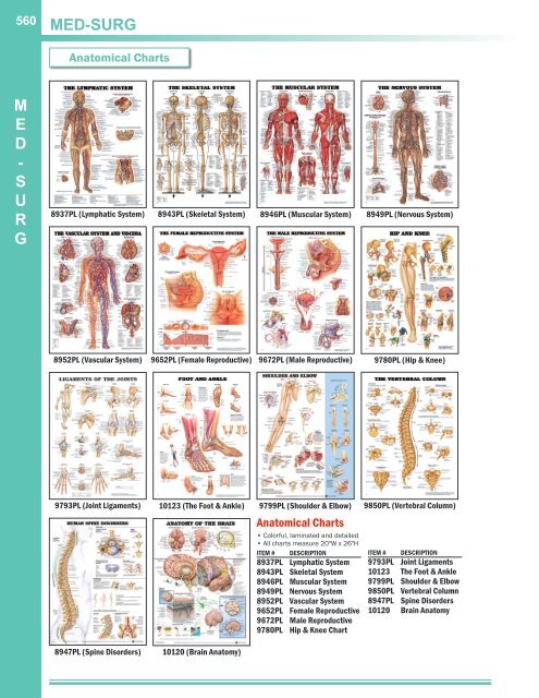 Digital Catalog