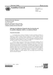 Informe de la Relatora Especial sobre los derechos de los pueblos indígenas relativo a su misión al Brasil (2)