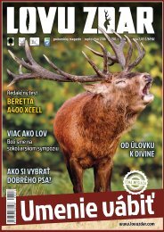 Vidlák datovania poradenstvo
