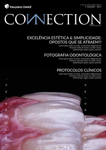 PDF CONNECTION MOCKUP