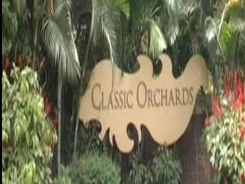 classic orchards