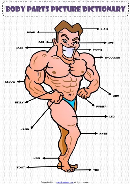 Body Parts Pictionary Poster Vocabulary Worksheet