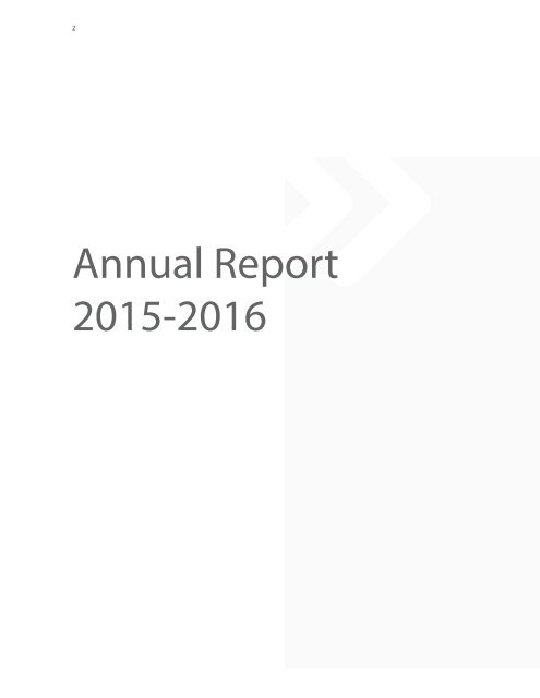 ANNUAL REPORT