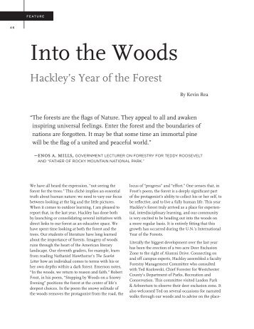 Hackley Review Summer 2012: Hackley Forest