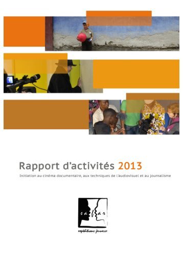 rapport activites 2013