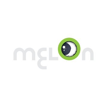 MELON_brandbook_25x25mm_lastversion