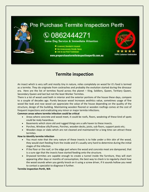 Pre Purchase Termite Inspection Perth1