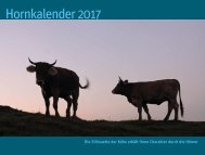 Hornkalender 2017 (komprimiert)