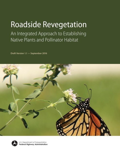 Roadside Revegetation