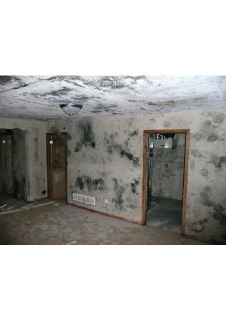 Mold damage public adjuster Fort Lauderdale