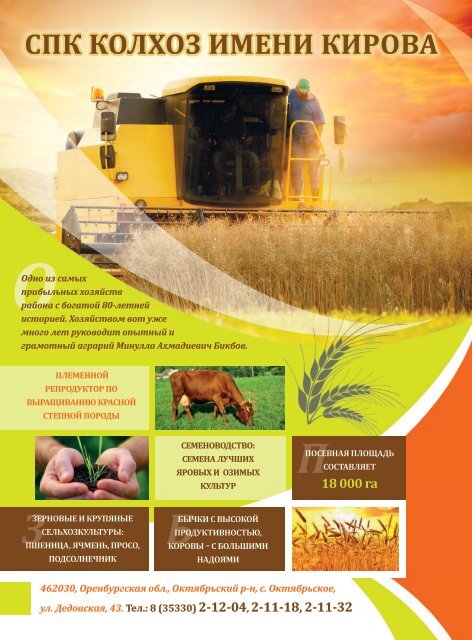 Спк колхоз. Спк колхоз имени коминтерна. Спк колхоз имени ворошилова. Спк колхоз спасское владимирская область. Директор колхоза.