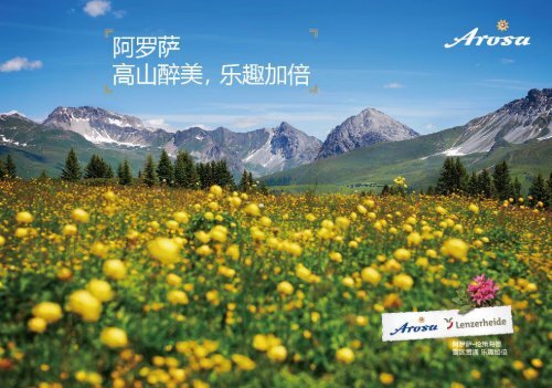 2016-Arosa Brochure-CN