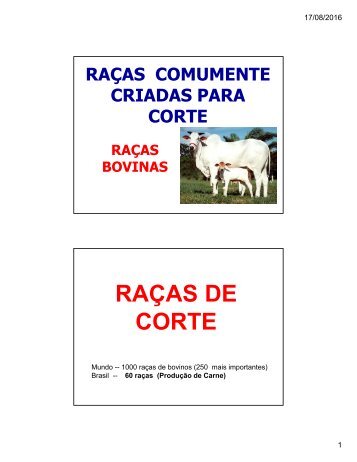 aula2_RACAS_CORTE