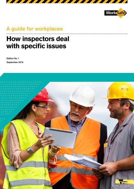 How inspectors deal with specific issues