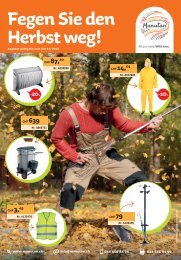 Fegen Sie den Herbst weg
