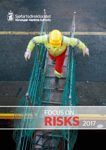 Focus on risks 2017 english version