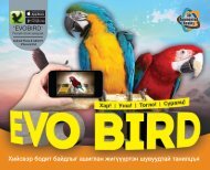 EVO Bird 3D ном - Жигүүртэн шувууд