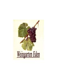 Napa Valley Cabernet Sauvignon - Weingarten Eden