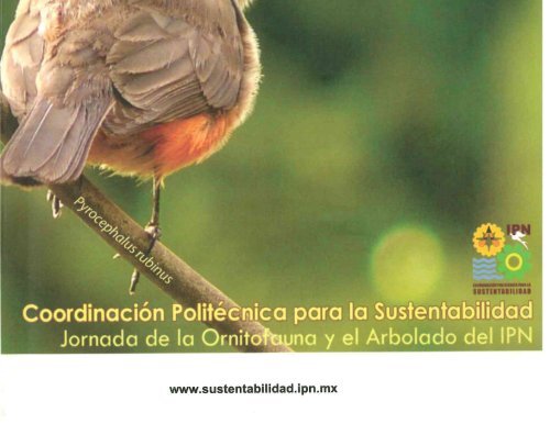 Las aves del IPN, Compendio. 2013