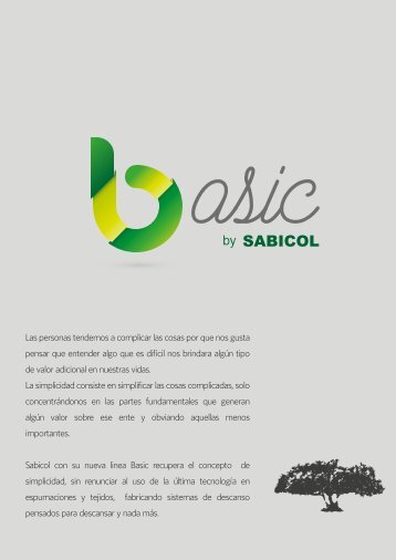 LINEA BASIC COMPLETA