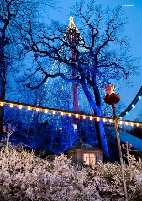 Liseberg Årsredovisning 2008