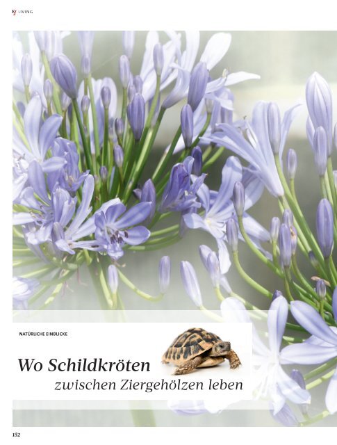 Das Erlebnis Journal 4_2016