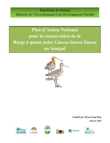 Plan d’Action National pour la conservation de la Barge à queue noire Limosa limosa limosa au Sénégal