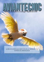 Aviantecnic - Septiembre