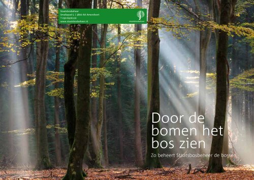 Door de bomen het bos zien