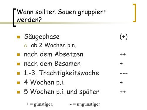 Gruppenhaltung tragender Sauen